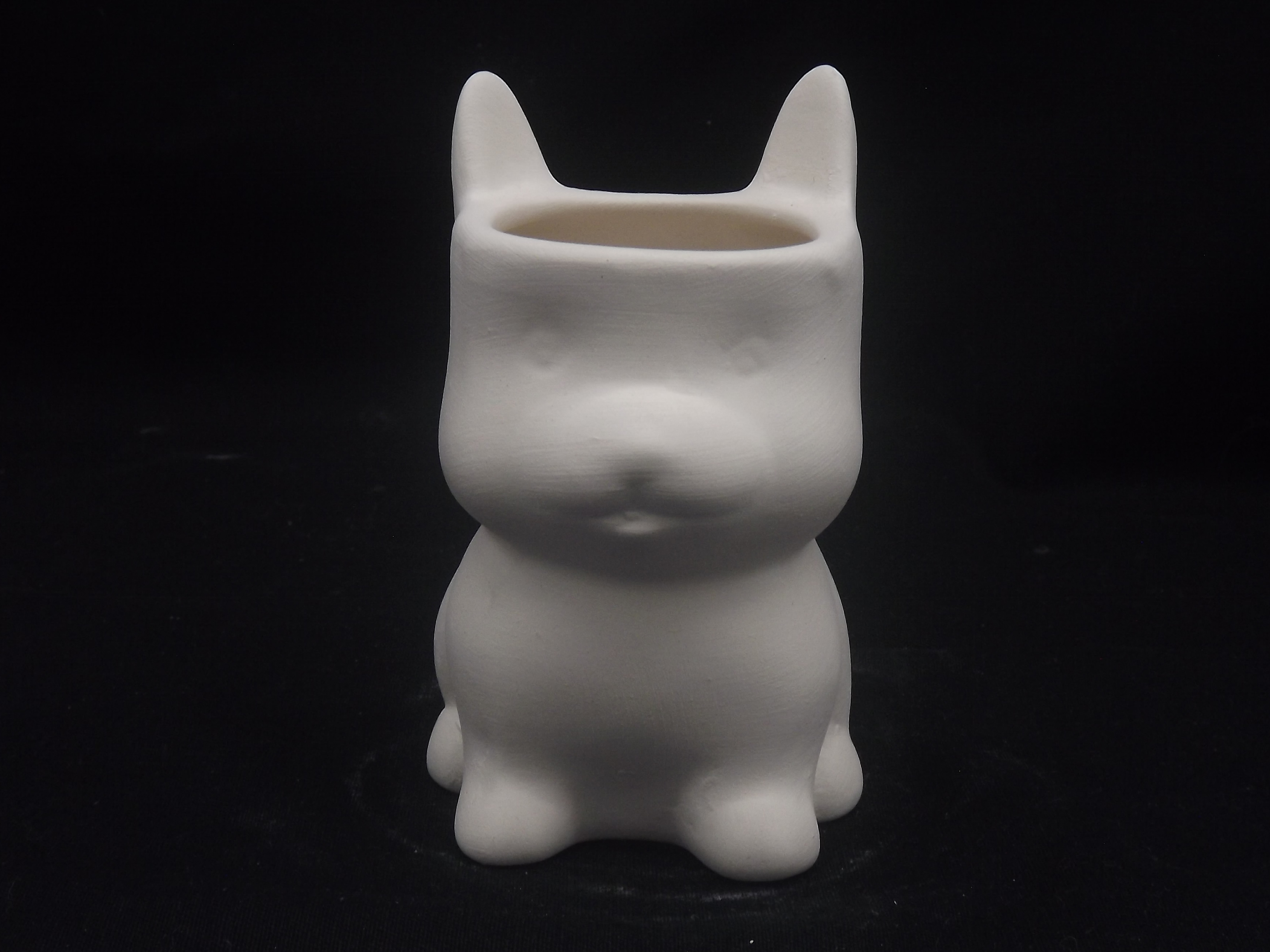Cachorro Orelha Suculenta